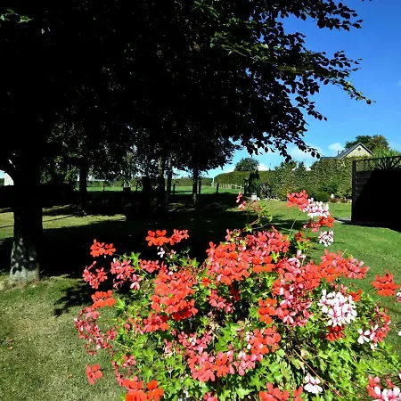 Beautiful Near Forest In Apartment *