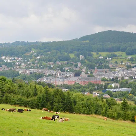 Beautiful Near Forest In