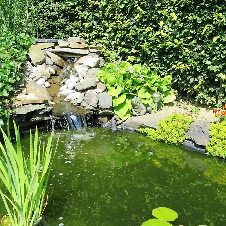 Beautiful Near Forest In