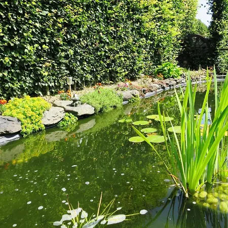 Beautiful Near Forest In *
