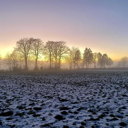 Appartamento Near Forest In