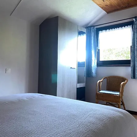 Near Forest In Apartment *