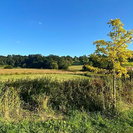 Near Forest In Apartment Nidrum