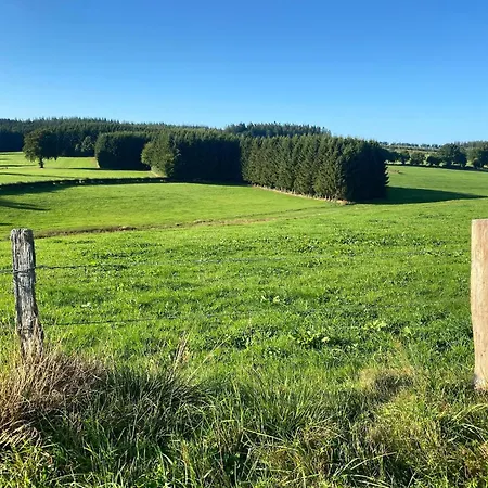 Near Forest In Nidrum