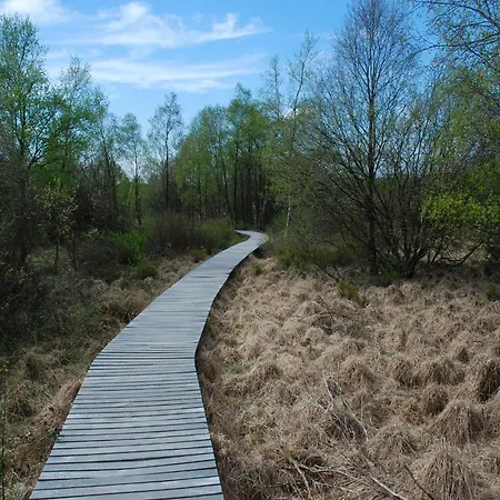 Near Forest In * Nidrum