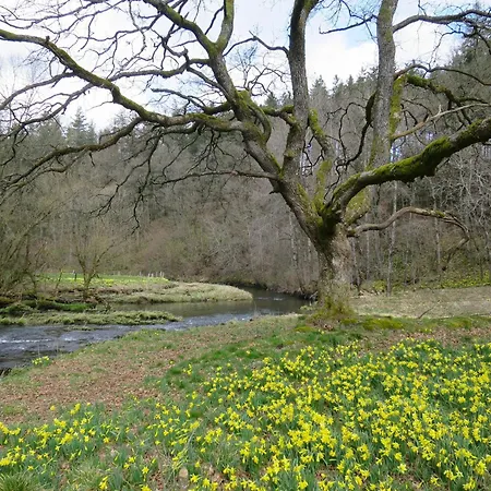 아파트 Near Forest In