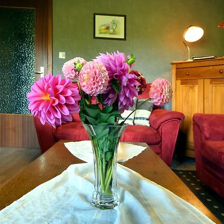 Beautiful Near Forest In Apartment *